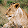 Kruger National Park