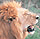 East Africa in Depth