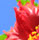 Caribbean Costa Rica