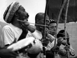 A capoeira bateria led by Mestre Cobra Mansa featuring three berimbaus and a pandeiro