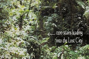 1200 stone steps leading into the Lost City