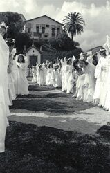 Angels on Flowers - Ouro Preto, Brazil