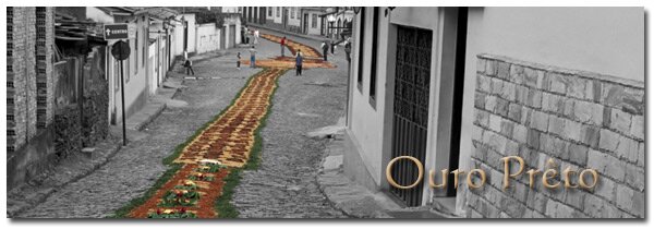 Flowers all the Way in Ouro Preto, Brazil